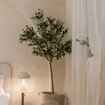Апартаменты 221 District, Loft Al Colosseo